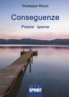 Conseguenze